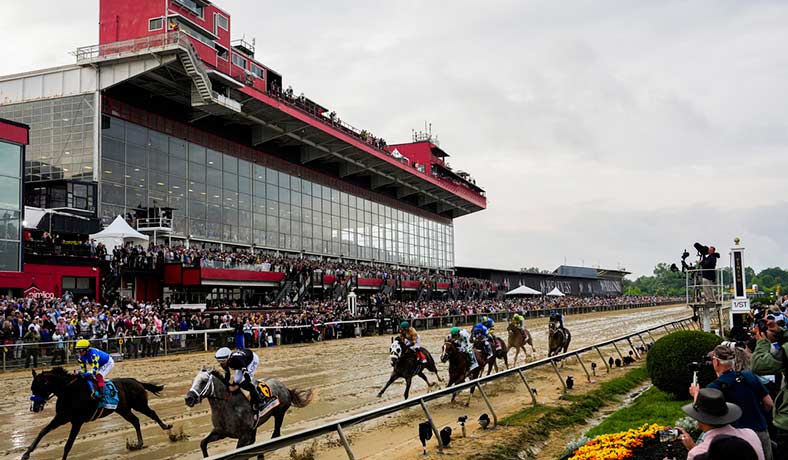 Varios caballos en la carrera Preakness Stakes 2024 en Pimlico
