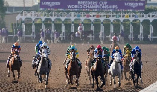Pronósticos Breeders Cup: ¿Quién ganará en una competencia totalmente abierta?